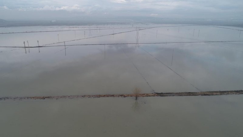 İzmir’de tarım alanları sular altında!