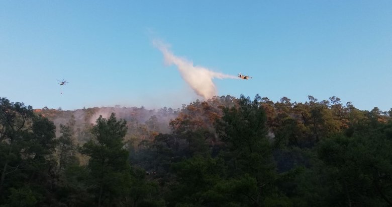 Marmaris’teki yangında 2 hektar orman zarar gördü! Çıkış nedeni için özel ekip kuruldu