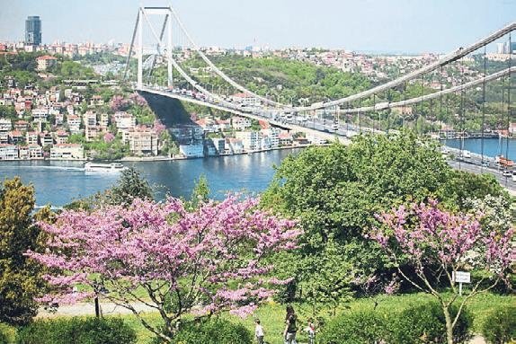 Boğaz’ın pembe gerdanlığı Tire’den