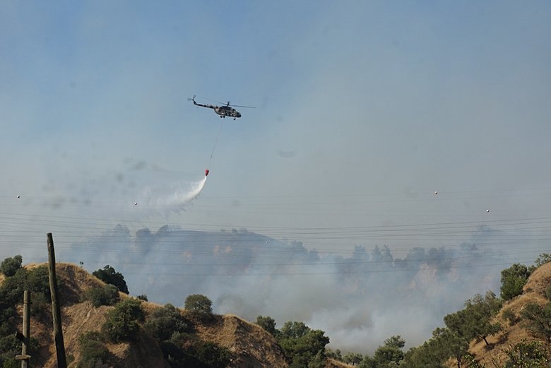 Aydın’da ormana sıçrayan yangına havadan da müdahale ediliyor