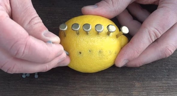 Mühendisin limon ile yaptığı deney milyonlarca izlendi