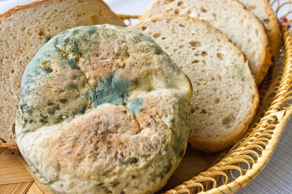 Küflü ekmek yemek tehlikeli mi?