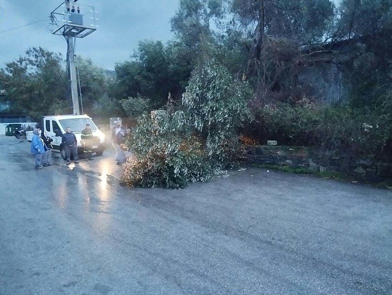 Muğla Bodrum’da feribot seferleri iptal edildi!