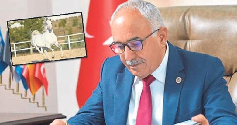 Kayıp at soruşturması MHP’de istifa getirdi