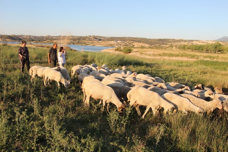 Bu çobanlar farklı! Baba iki, kızları üç dil biliyor
