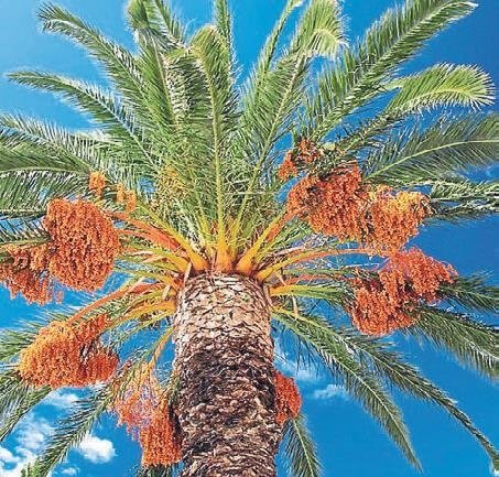 Topraktan yaratılan Hz. Adem’in hikayesi