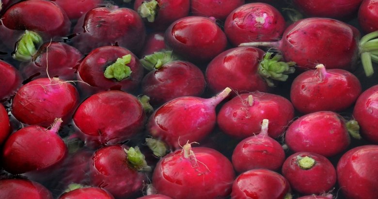 Çocuk öksürüklerinde turpla kısa sürede sonuç alabilirsiniz