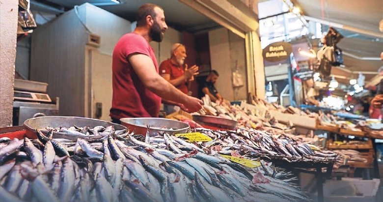 Balıkçıların av sezonu bereketli geçiyor