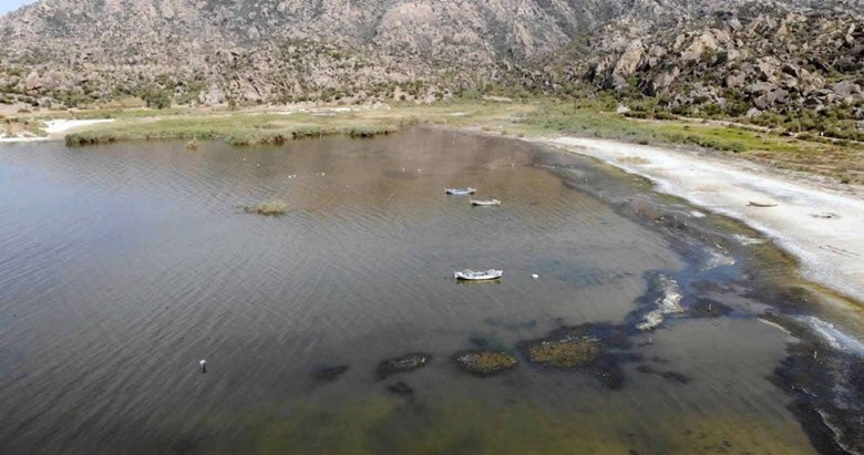 Bafa Gölü’ndeki balık ölümleri araştırılıyor