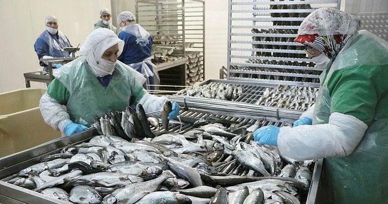 avrupa denizi olmayan denizli nin baligini yiyor