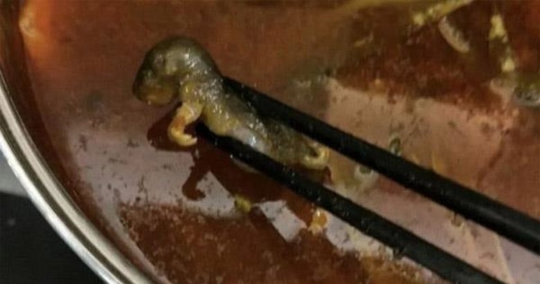 Çin’de bir restoranda çorbadan fare ölüsü çıktı
