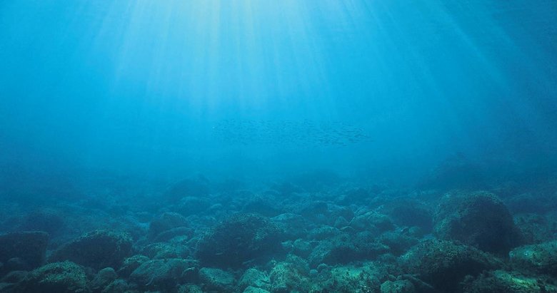 Talassofobi: Deniz korkusu