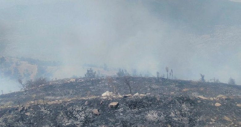 Denizli Buldan’daki 2. orman yangını da söndürüldü