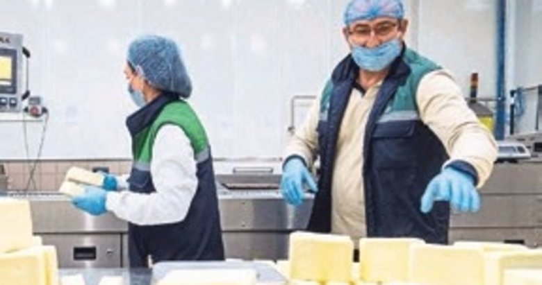 Peynir üretim teknolojileri süt endüstrisiyle buluşuyor