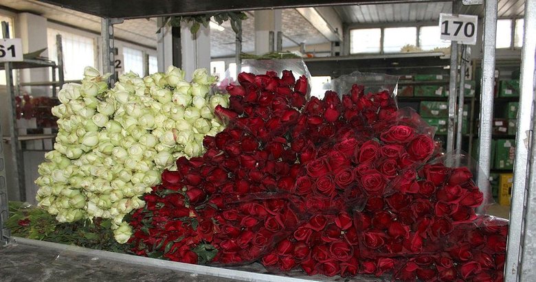 İzmir’de Sevgililer Günü nedeniyle gülün tanesi 20 liraya çıktı