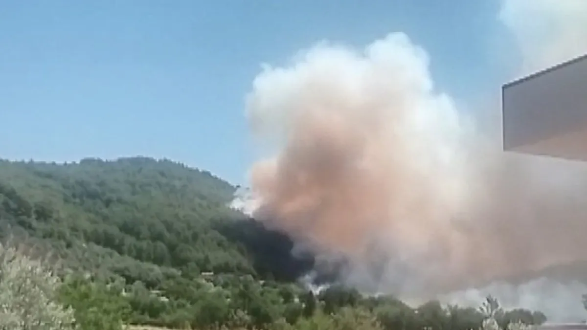 Son dakika: Muğla Fethiye'de orman yangını
