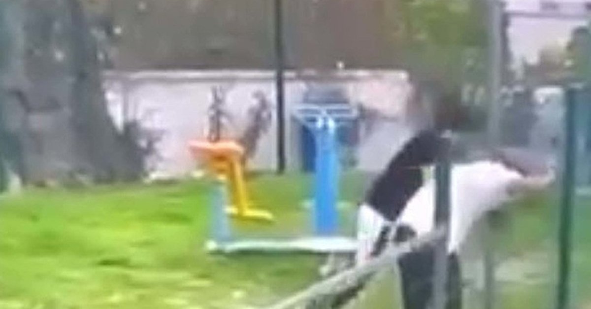 Olayın adresi: Muğla! Parkta akranını evire çevire dövdü! Darbedilen çocuk bayıldı
