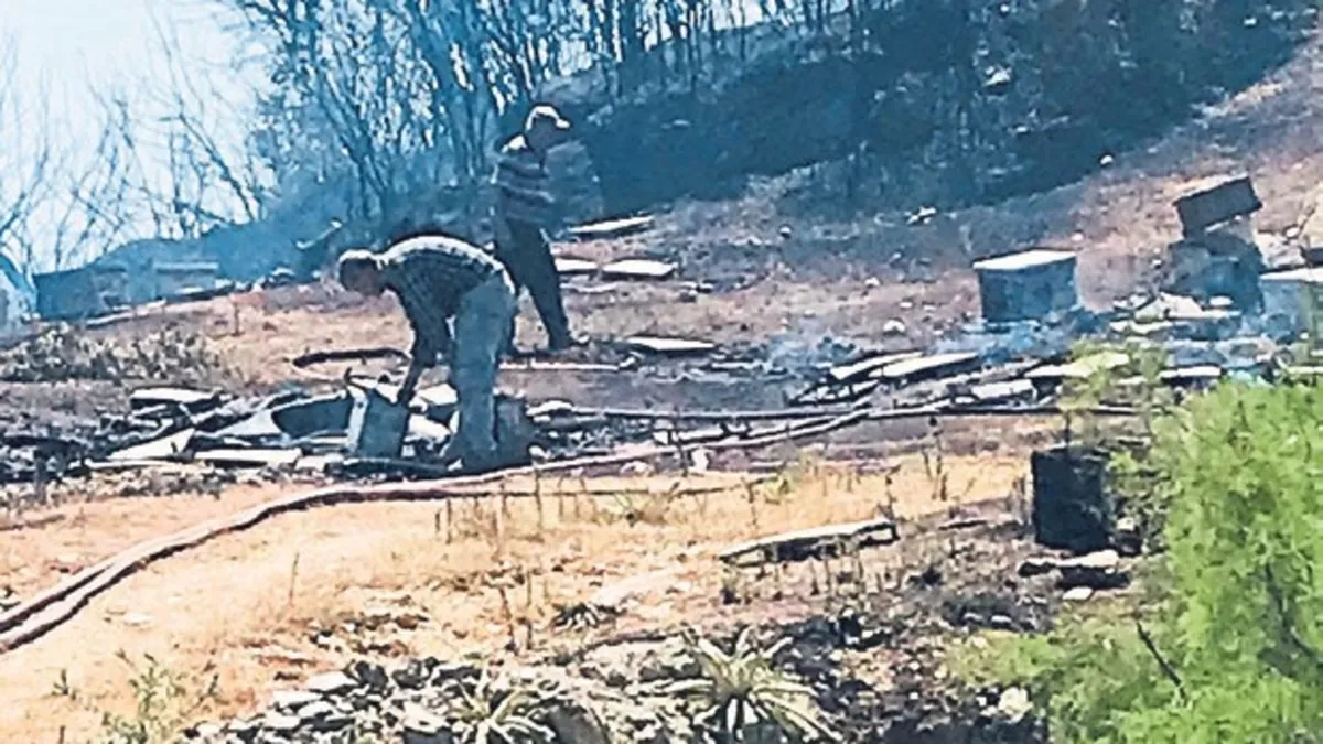 Alevler 150 adet arı kovanını küle çevirdi