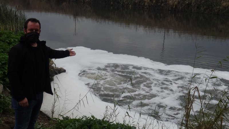 Büyük Menderes Nehri’nde kirlilik 4’ncü dereceye ulaştı