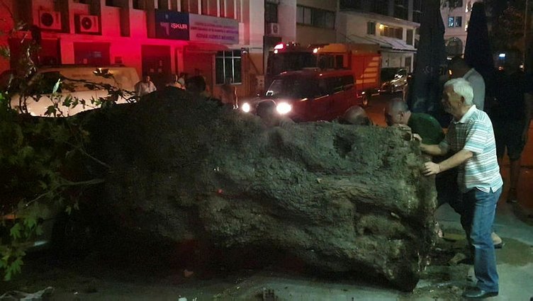 İzmir Konak’ta ağaç devrildi! 1 kişi yaralandı