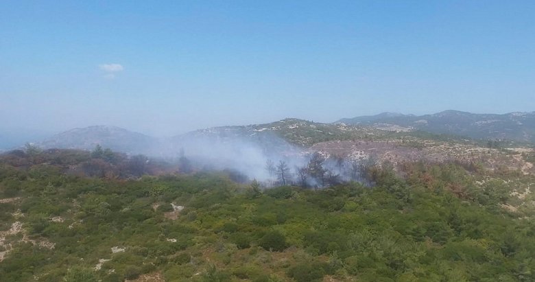 İzmir’de çıkan orman yangını kontrol altında