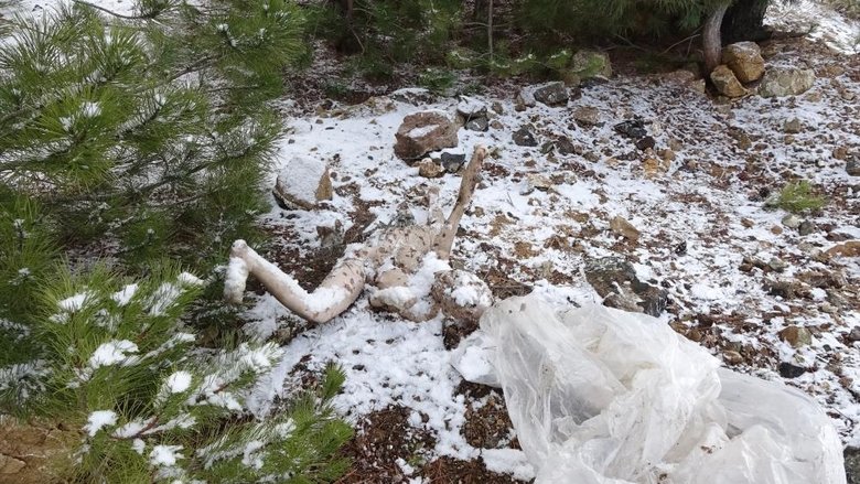 Ceset ihbarıyla olay yerine giden ekipler bakın neyle karşılaştı