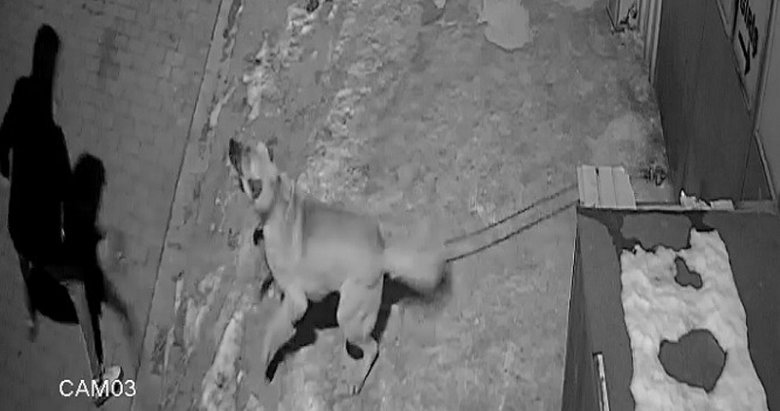 Kütahya’da köpeğin çalınma anı saniye saniye kameraya yansıdı