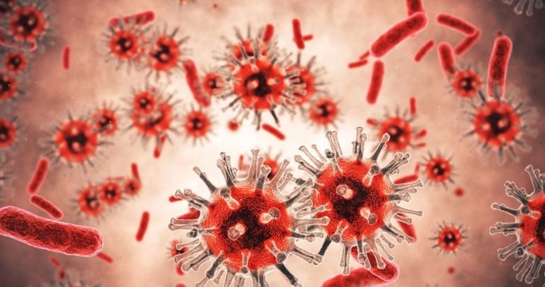 Koronavirüs insanlara nasıl bulaştı? DSÖ’den dikkat çeken açıklamalar