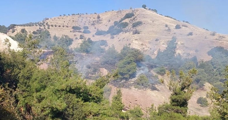 Manisa Alaşehir’de makilik alanda yangın çıktı