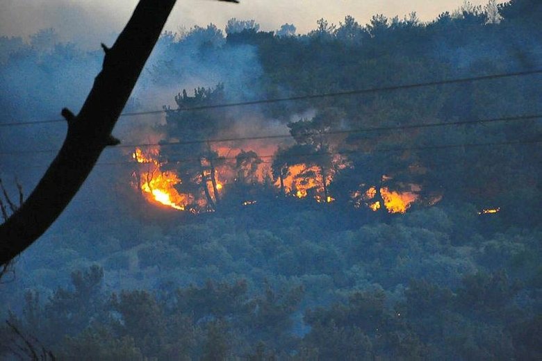 Manisa'daki yangın sabotaj mı? Gizemi 'Tarzan' çözecek