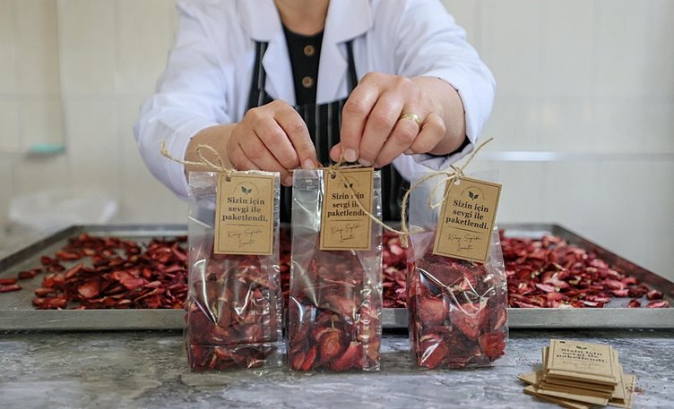 Kokusu ve aroması ile hayran bırakıyor! Emiralem çileği kadınlara gelir kapısı oldu