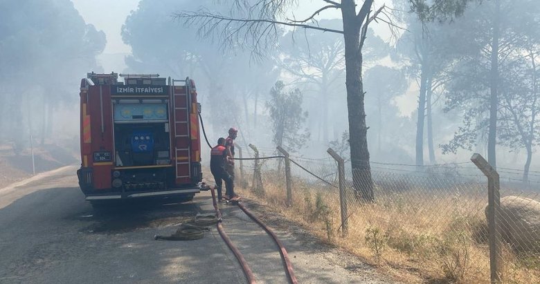 İzmir’deki anız yangını ormana sıçradı: 16 hektar alan kül oldu