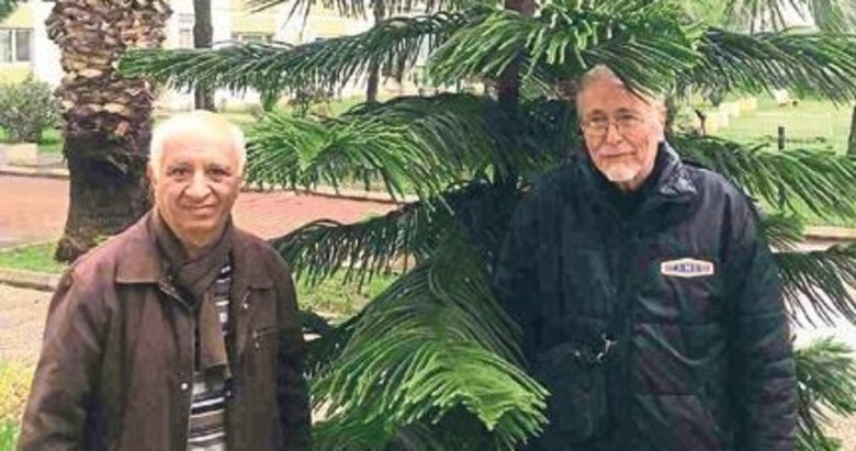 Yılbaşı için ağaç kesmeyin