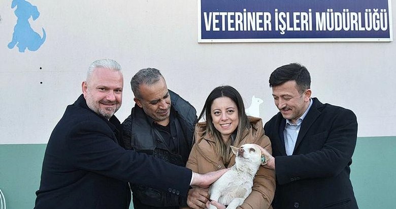 AK Parti İzmir Büyükşehir Belediye Başkan Adayı Hamza Dağ’dan hayvan bakımevine ziyaret