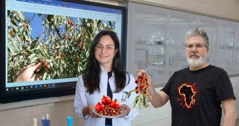 Kansere karşı şifa molekülü! Türk Bilim Ekibinin 18 yıllık çalışması sonuç verdi