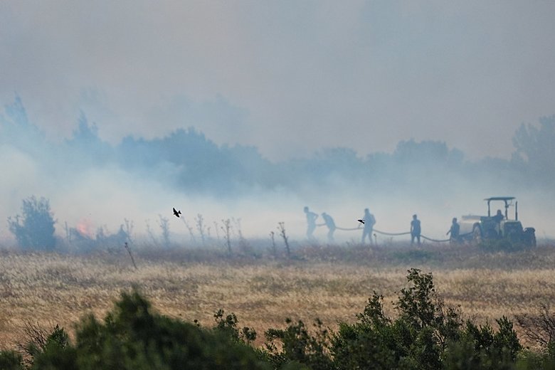 İzmir’deki yangınlarda son durum ne? Bakan Yumaklı açıkladı