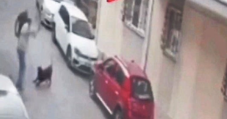 Sokak köpeğine kemeriyle saldırdı
