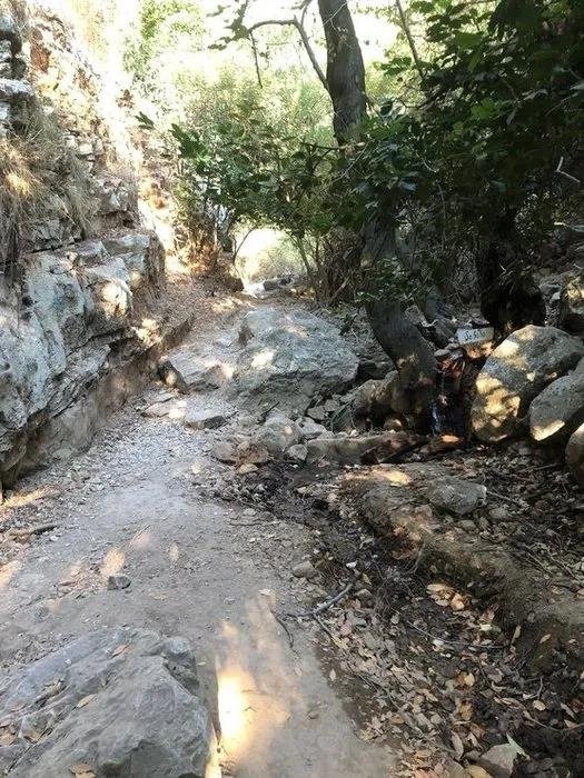 Yüksekten düştüğü sanılıyordu! Gülsimay’ın ölümü çok başka çıktı