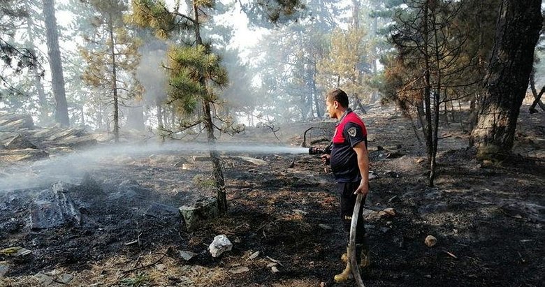 Aydın’daki orman yangınına havadan ve karadan müdahale ediliyor