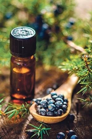 Gıdaların kalite ve içeriği kalorisinden daha önemli