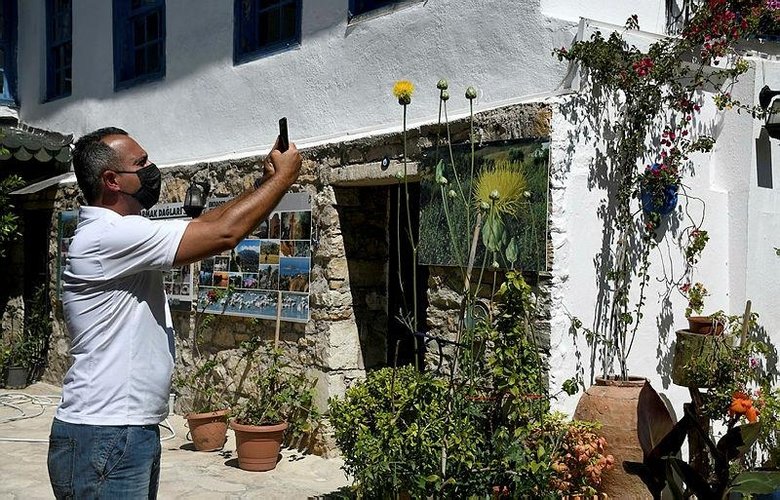 ’Tülüşah’ı koparmanın cezası 73 bin 747 TL! Dünyada sadece Kuşadası’nda yetişiyor