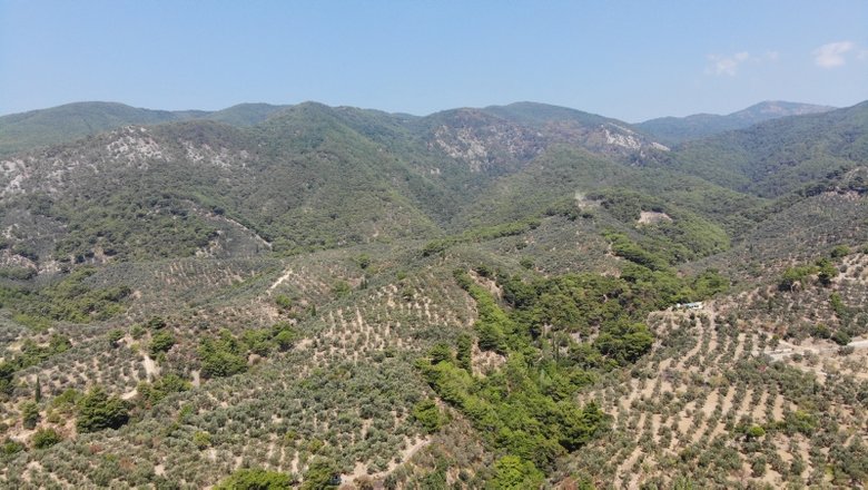 Kazdağları’nda yanan ormanlar havadan görüntülendi