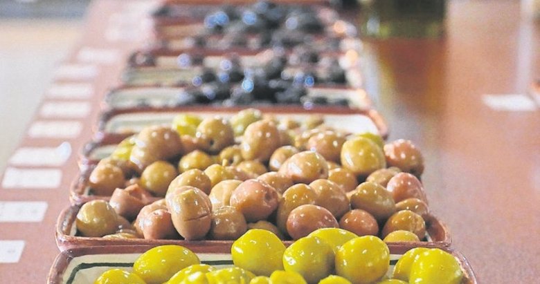 Tanesi 50 TL’ye satılan zeytin bakanlık radarında