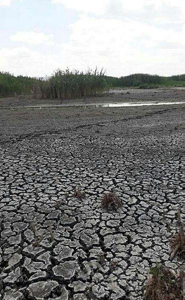 Eber Gölü pişmanlığı: Hiç bitmez, tükenmez sandık, o da canlıymış bilemedik