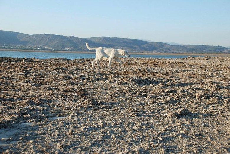 İZSU’dan vatandaşlara uyarı: Yaza susuzluk yaşanabilir