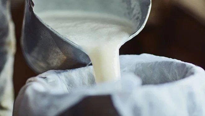 Çiğ süt destek ödemeleri başladı! Toplam 55 milyon 116 bin 376 TL ödeme yapılacak