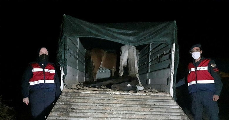 Eşek kesip piyasaya sürmeye çalışanlar suçüstü yakalandı