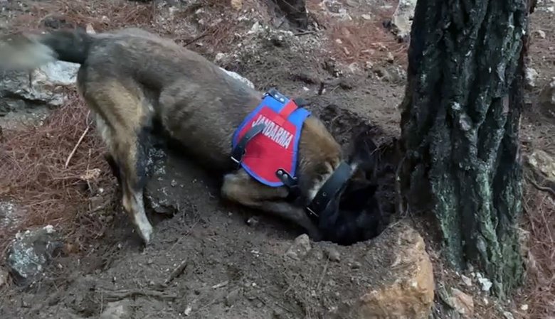 14 yıldır kayıp olarak aranan şahsın cinayete kurban gittiği öğrenildi