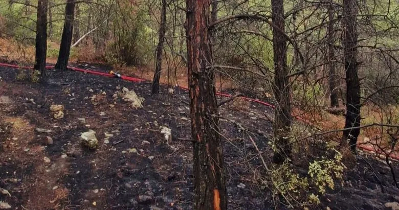 Yıldırım kaynaklı çıkan yangınlar ekipler tarafından söndürüldü 2 Muğla’da yıldırımlar 5 kez yangın çıkardı