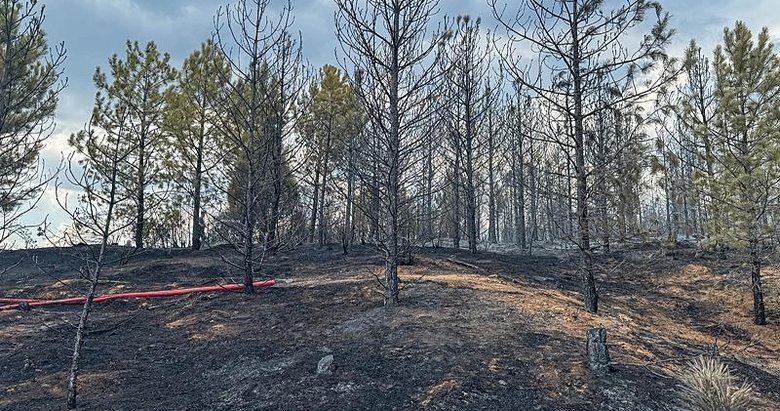 Uşak’ta ormanlık alana sıçrayan yangın söndürüldü